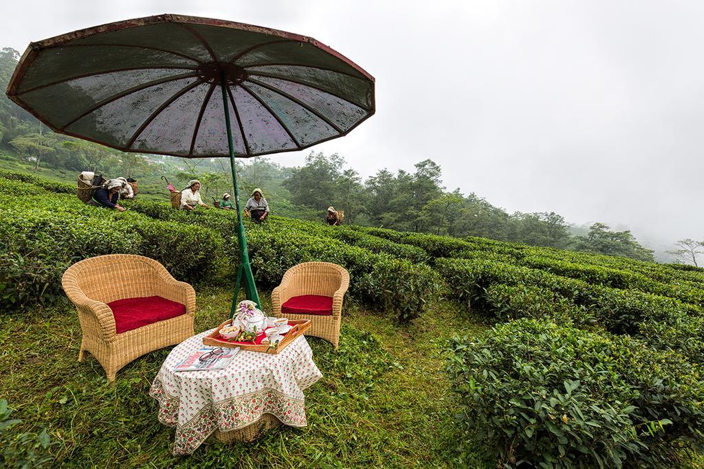 Ging Tea House Guest House Darjeeling  Exterior photo